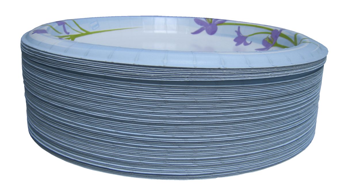 Frooti plate 11"