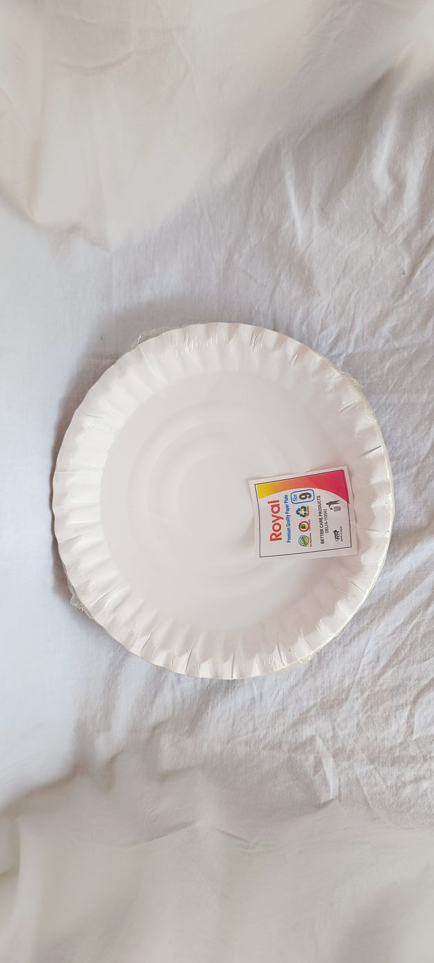 Paper Plate No.9