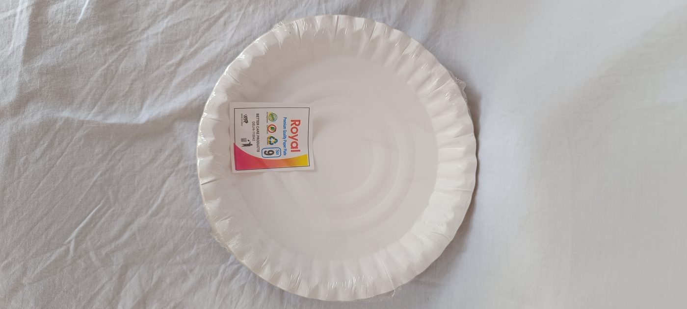 Paper Plate No.9